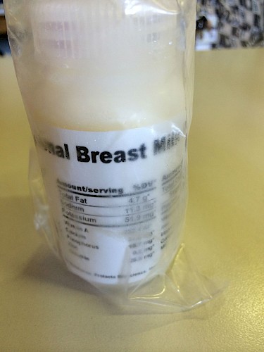 Figure 1. Packaged donor milk