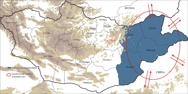 Caption: Area of foot-and-mouth disease emergence and gazelles’ transboundary migration patterns (2000–2014). © Map by Marc Alaux; annotations by Sandrine Ruhlmann based on information obtained during interview with director of National Veterinary Agency (Ulaanbaatar, winter 2014).
