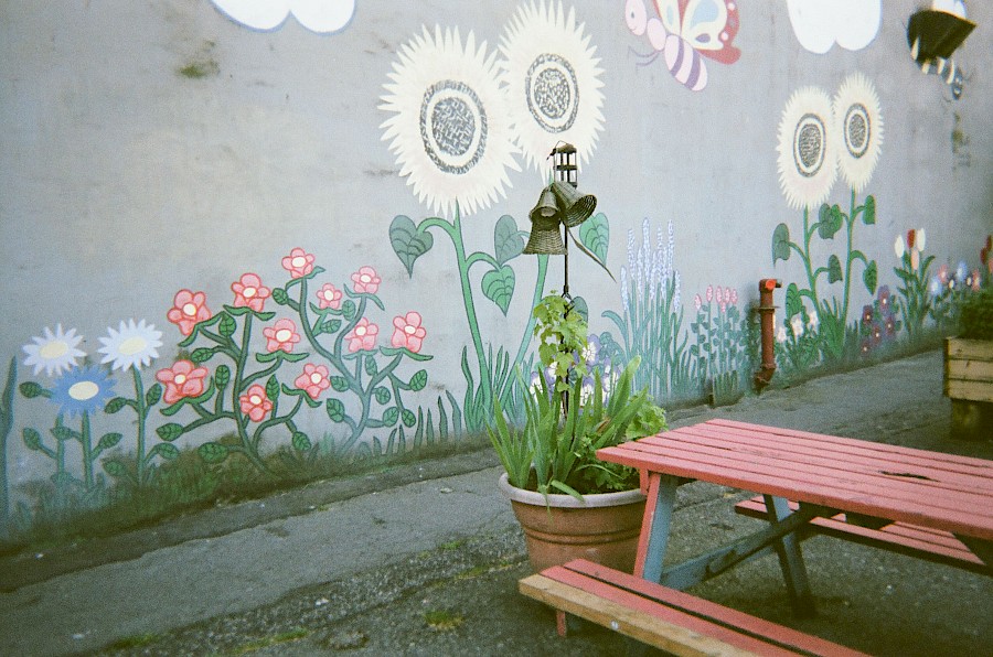 7. We don’t have a lot of flowers where I live so we painted some on the wall – Randy