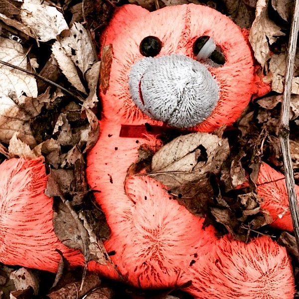 4. Teddy bear in leaves