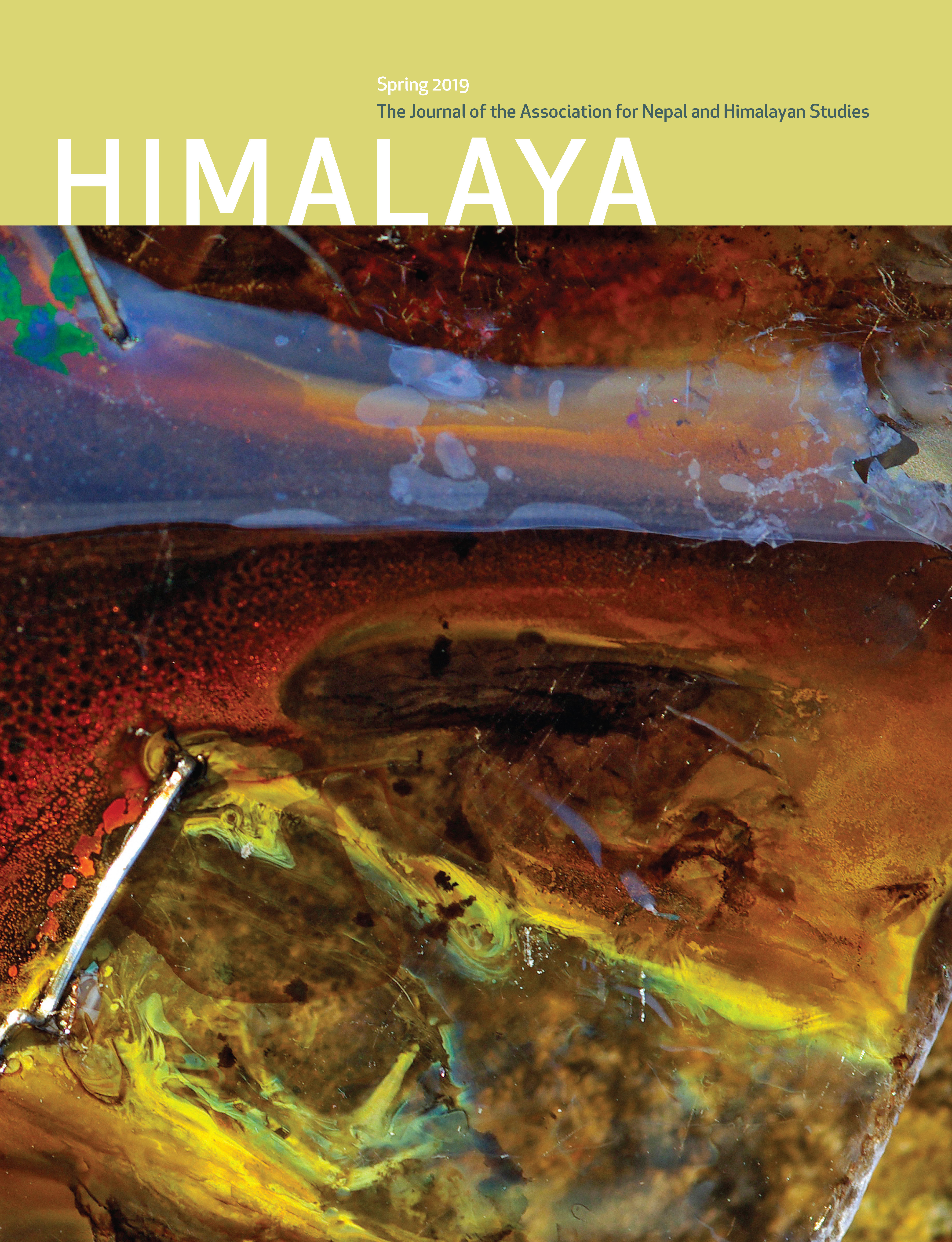 Cover HIMALAYA Volume 39.1