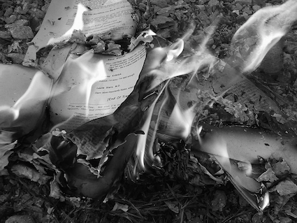 Burning Books