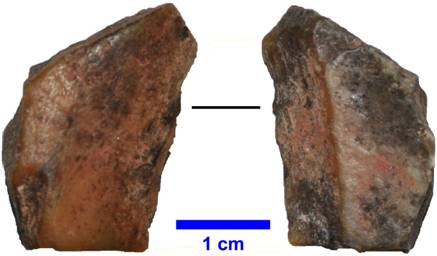 The Mousterian lithic assemblage of the Ciota Ciara cave (Piedmont ...